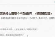 深圳汪先生最新爆料,揭秘最新行业动态