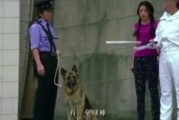 玻璃樽在线观看,穿越时空的浪漫传奇