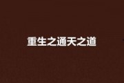 重生之道最新爆料,揭秘神秘力量，探寻命运转折点