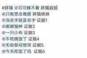 胖猫最新爆料,娱乐圈最新爆料大揭秘！
