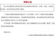 最新上市公司爆料平台,行业动态与公司内幕一网打尽