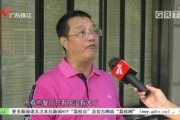 广州今日关注爆料员是谁,揭秘爆料员身份之谜！”