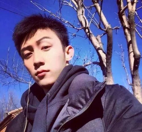 娱乐吃瓜君票房男演员,票房男演员背后的故事与辉煌