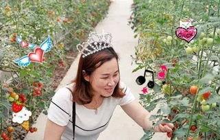 甜甜的娱乐吃瓜